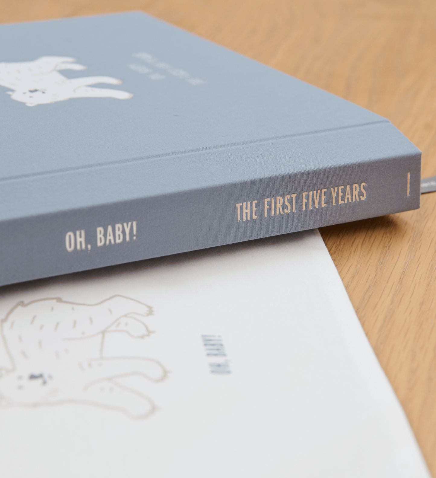 Baby Memory Book