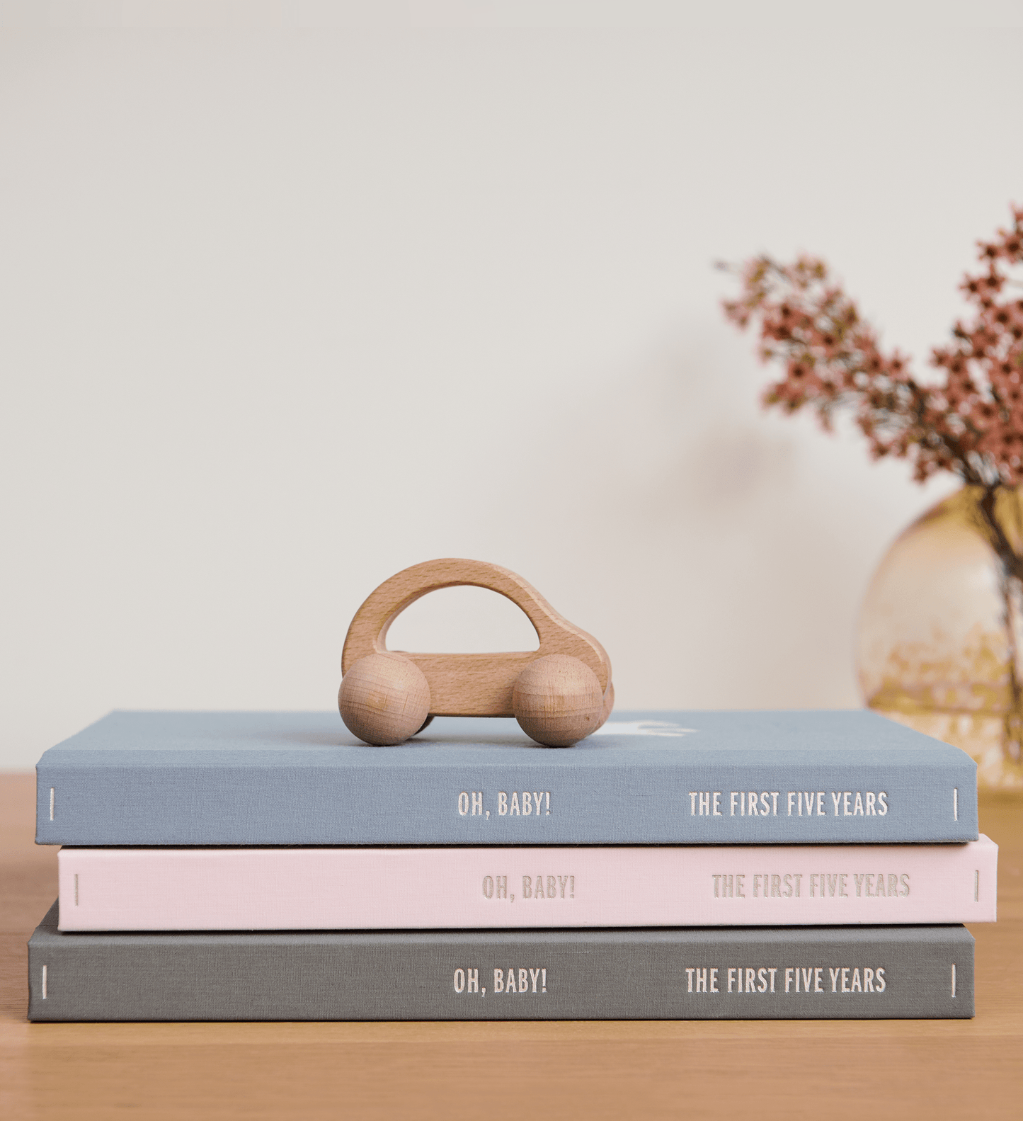 Baby Memory Book